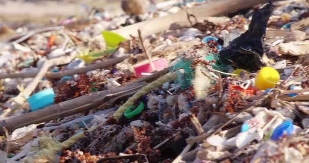 Zbliżenie Patelni Śmieci Zaśmieconych Tropikalnej Plaży Letni Dzień — Wideo stockowe