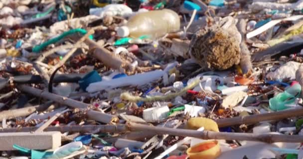 Close Tilt Plastic Trash Debris Littered Rocky Beach Caribbean — Vídeos de Stock