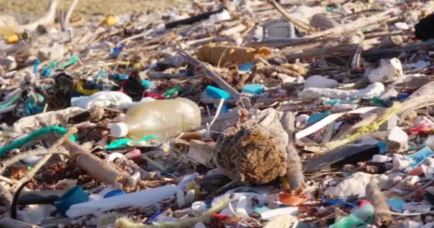 Zbliżenie Patelni Plastikowych Śmieci Śmieci Zaśmiecone Skalistej Plaży Karaibach — Wideo stockowe