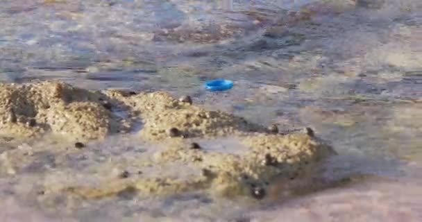 Blauer Kronkorken Aus Plastik Schwimmt Wasser Und Wird Durch Strömung — Stockvideo