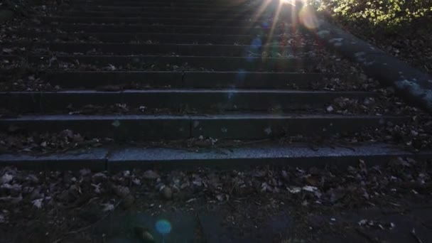 Climb Old Concrete Stairs Sunlight Reaches Look Trees — Vídeo de stock
