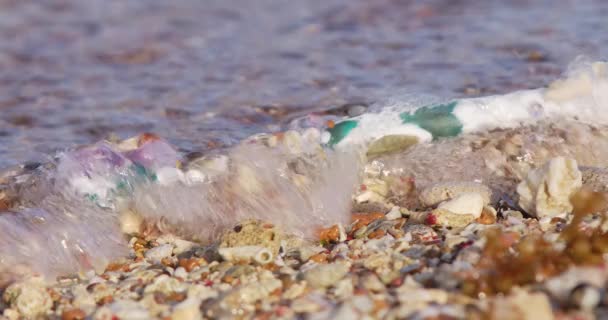 旧的塑料牙刷被冲刷到沙滩上 被水流和波浪冲走 — 图库视频影像