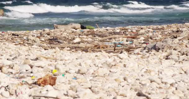 塑料瓶和污染残余物散落在多石的热带海滩上 波涛汹涌 — 图库视频影像