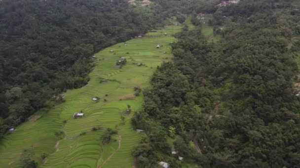 Tembakan Udara Dari Kabut Menutupi Bidang Framing Bukit Nagaland — Stok Video