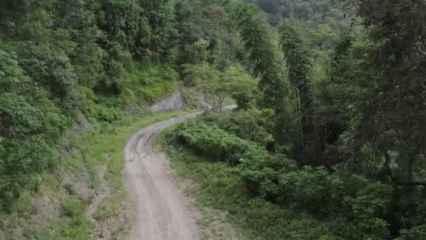 Тропа Посреди Леса Окруженная Маленькими Домами Нагаленде Индия — стоковое видео