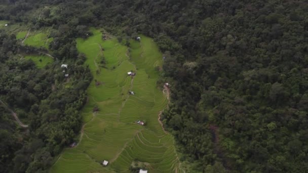 Air Shot Farming Fields Hills Nagaland Indie — Stock video
