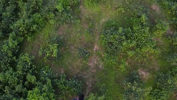 Молодой Человек Бежит Горной Тропе Медленное Движение Воздушный Удар Сверху — стоковое видео