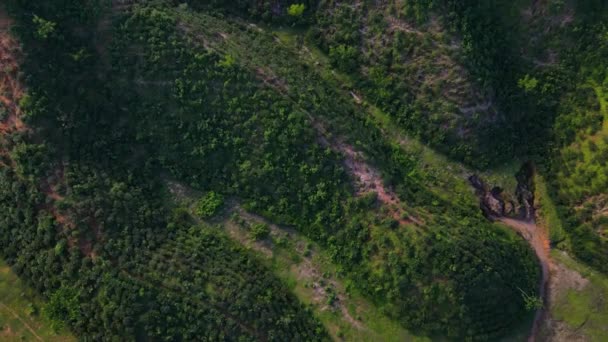 Über Den Bewaldeten Hügeln Des Khadimnagar Nationalparks Umgeben Von Teegärten — Stockvideo