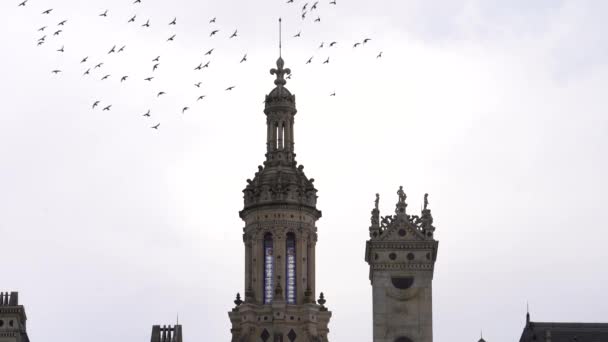 成群结队的鸽子在张伯德城堡灯笼前飞舞 — 图库视频影像