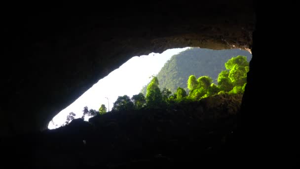 Silhuetas Milhares Swiftlets Voando Dentro Grande Entrada Caverna — Vídeo de Stock