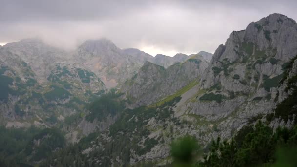 Tight Video Filmed Gimbal Slovenian Mountains Alps Forward Movement Bushes — Stock Video