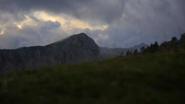 Tight Video Filmed Gimbal Slovenian Mountains Alps Forward Movement Bushes — Stock Video