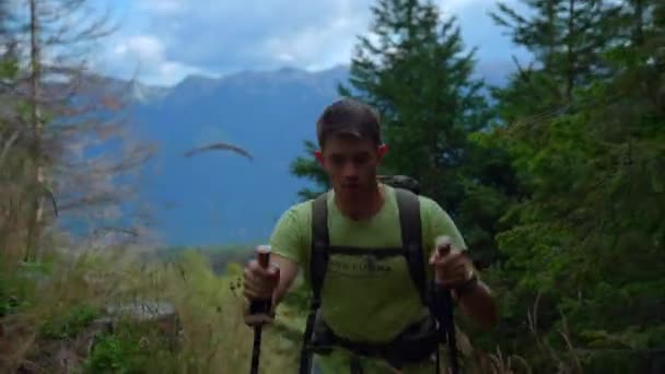 Man Hiking Forest Mountain Backpack Tracking Polls Sports Clothes Trees — Stock Video