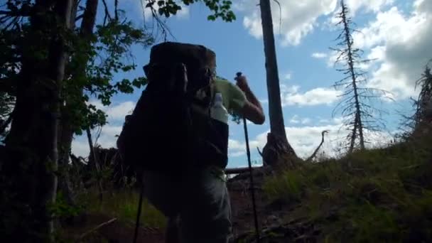 バックパックで山への森の中で男のハイキング スポーツ服の世論調査を追跡する 彼の周りに木や緑の植物と アルプスの昼間に4Kの広い視野でジンバルで撮影 — ストック動画