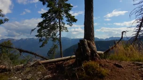 Drone Brede Beelden Gefilmd Sloveense Bergen Alpen Met Een Voorwaartse — Stockvideo