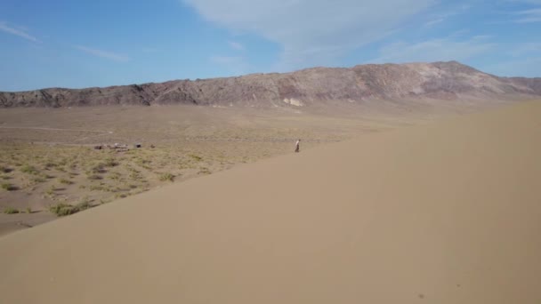 男は熱い乾燥した砂漠で大規模な砂丘の上に登るしようとします — ストック動画