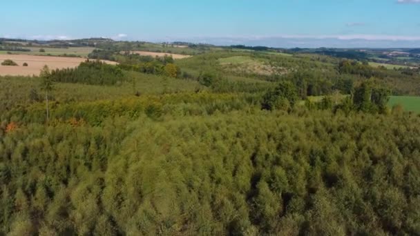 Luftaufnahme Einer Tschechischen Landschaft Mit Wäldern Und Weit Entfernten Dörfern — Stockvideo