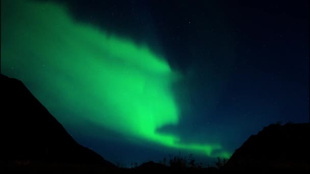 Aurora Explosie Bij Rystad Lofoten Noorwegen Met Intens Groen Noorderlicht — Stockvideo
