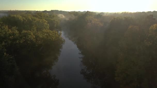Drone Rzeka Przez Las Mglisty Poranek Leć Nad — Wideo stockowe