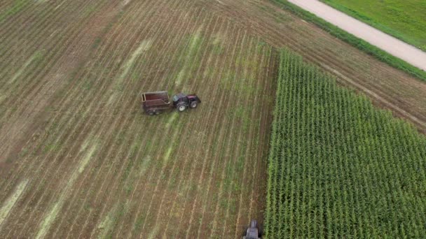 Повітряний Вид Трактора Возом Полі Час Інший Збирання Кукурудзи Їжі — стокове відео