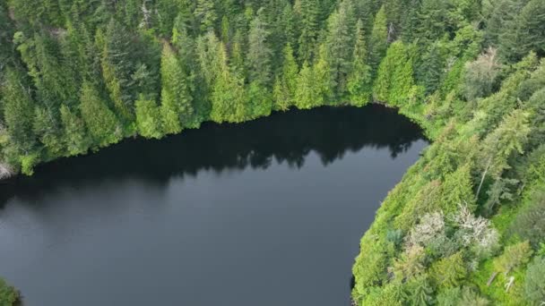 Foto Aérea Giratoria Arriba Hacia Abajo Fragrance Lake Bellingham Washington — Vídeo de stock