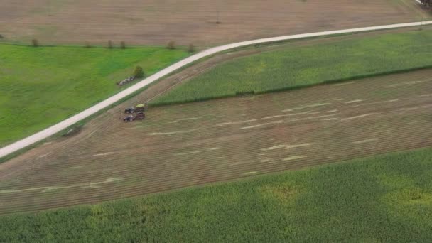 田里切碎玉米秸秆供牛饲料用的农业拖拉机鸟瞰图 航空轨道 — 图库视频影像