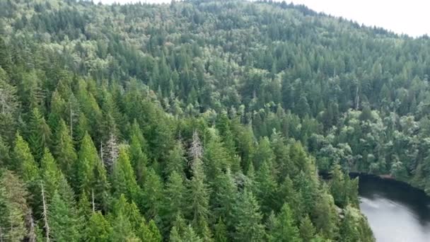 Περιστρεφόμενη Εναέρια Λήψη Των Δασών Γύρω Από Λίμνη Fragrance Στην — Αρχείο Βίντεο