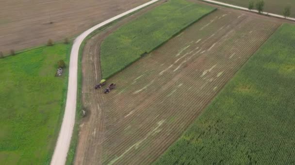 Teilweise Abgeerntetes Maisfeld Mit Zwei Traktoren Für Silagemanagement Luftaufnahme — Stockvideo