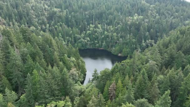 广阔的轨道空中拍摄揭示了树间的芬兰斯湖 — 图库视频影像
