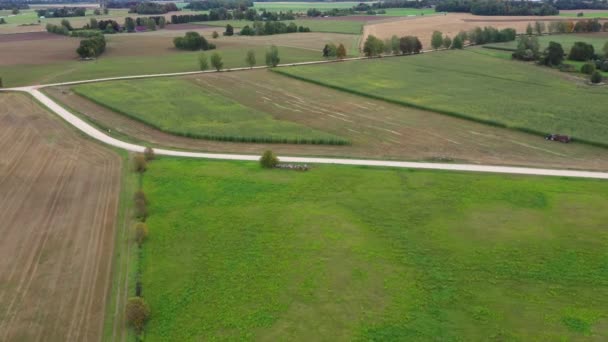 玉米生物物质和生物燃料生产 用拖拉机在田里的空中观察 — 图库视频影像
