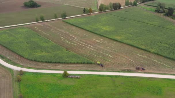 Silage Harvesting Season Two Tractors Trailers Field Aerial Panorama View — Stock Video