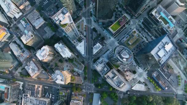 シアトルのダウンタウンエリアの上空からの眺めは 街の通りがどれだけ密集しているかを示しています — ストック動画