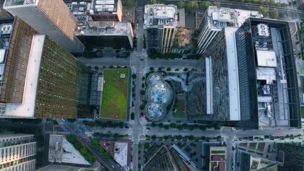 Lowering Overhead Shot Amazon Spheres Seattle Developed Downtown District — Stock Video
