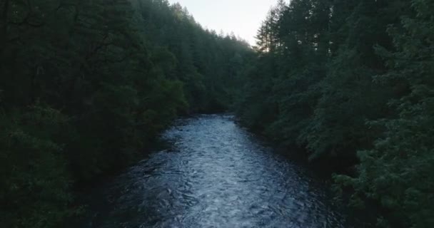 Κηφήνας Εναέρια Γραφική Παρθένα Ποταμού Στη Νότια Πολιτεία Της Ουάσιγκτον — Αρχείο Βίντεο