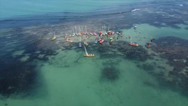 Maceio Brazil Drone Legendární Brazilské Pláže Severovýchodní Nordeste Krajiny Pouštním — Stock video