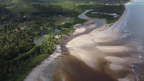 Maragogi Brasil Por Drone Praias Brasileiras Lendárias Nordeste Nordeste Deserto — Vídeo de Stock