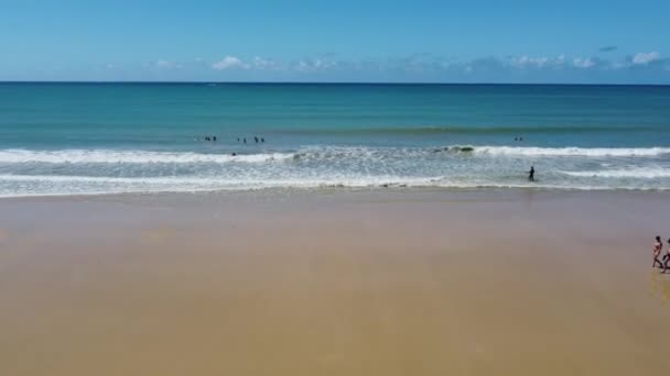 Natal Brazil Drone Легендарные Бразильские Пляжи Северо Восточная Нордест Пейзажи — стоковое видео