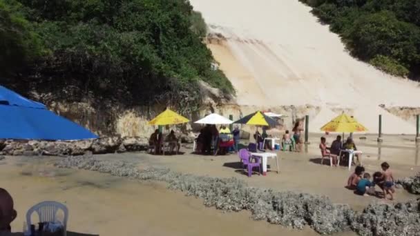 Natal Brazil Drone Легендарные Бразильские Пляжи Северо Восточная Нордест Пейзажи — стоковое видео