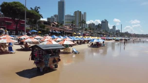 Natal Brazil Drone Легендарні Бразильські Пляжі Північно Східна Нордест Ландшафти — стокове відео