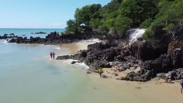 Natal Brazil Drone Spiagge Brasiliane Leggendarie Nordeste Nord Orientale Paesaggi — Video Stock