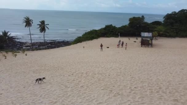 Natal Brazil Drone Пёсик Легендарные Бразильские Пляжи Северо Восточная Нордест — стоковое видео