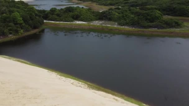 ドローン4Kによるブラジルの自然 ブラジルの伝説のビーチ 北東部 砂漠の海の風景 — ストック動画