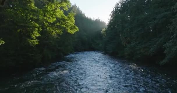 Drone Aerial Scenic Pristine River Southern Washington State Shot Mavic — Stock Video