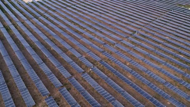 Fileiras Infinitas Plantas Fotovoltaicas Espelhadas Para Produção Energia Limpa Por — Vídeo de Stock