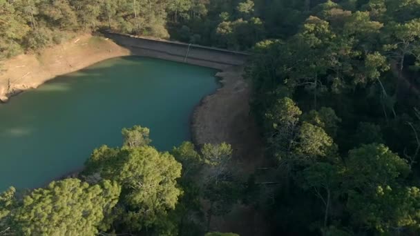 Drone Descending Dense Forest Trees Shore Calaque Dam Jalisco Mexico — стокове відео
