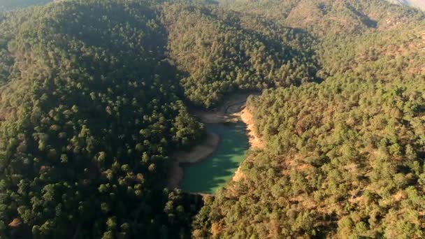 メキシコ ハリスコのエル カラーク湖周辺の森林景観の上からの眺め — ストック動画