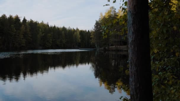 緑豊かな古代の森は夕暮れ時の湖の静かな水に完全に反映されています — ストック動画