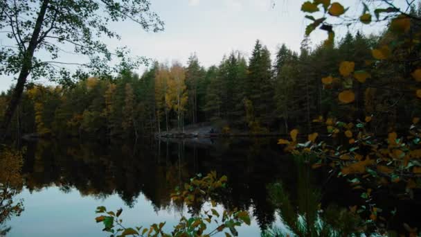 Ruhiger Waldsee Einem Düsteren Herbsttag Skandinavien Spurensuche — Stockvideo