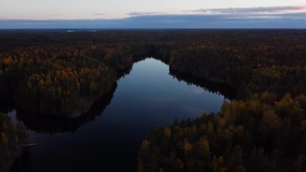 Inverser Ascension Dessus Verre Comme Lac Provenant Une Forêt Automne — Video