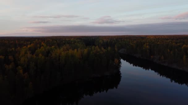 Voando Sobre Uma Densa Floresta Outono Espelho Como Superfície Lago — Vídeo de Stock